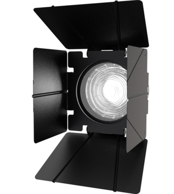 Barndoors for Aputure LS 600D Pro