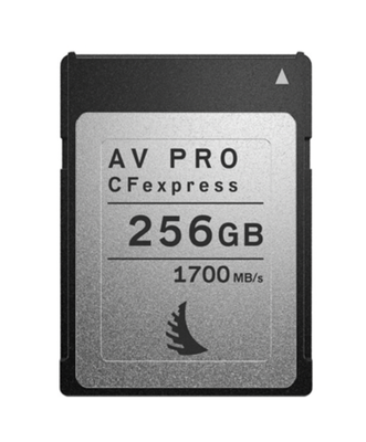 Memory Card 256 GB a 1700Mb/s