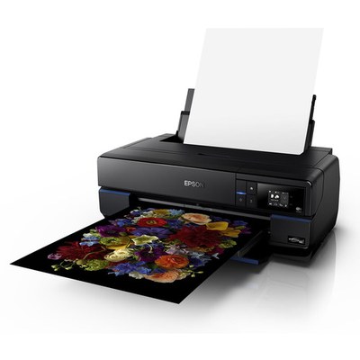 Epson Printer P800