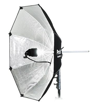 Giant Silver 150 cm / 5'